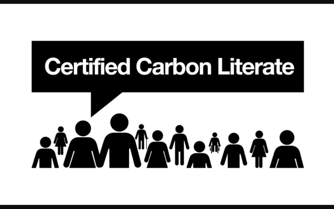 Carbon Literacy Training with the Sustainable Wedding Alliance: A Transformative Journey